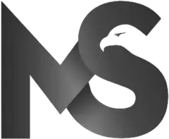Logo Moniz de Sá